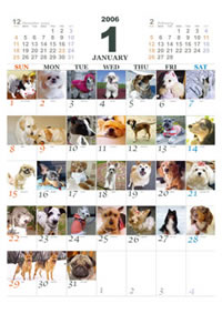 The 365 Dogs Calendar